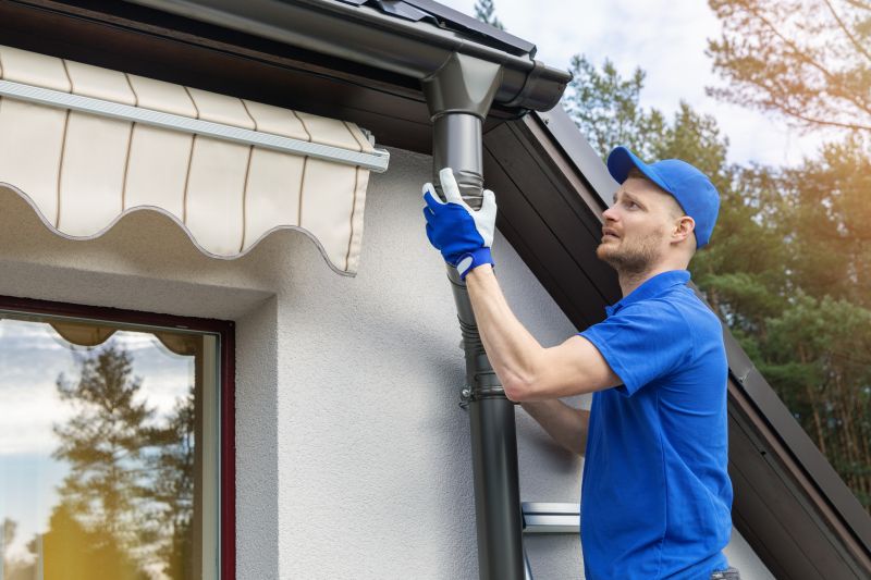 Clean and Protected Gutters
