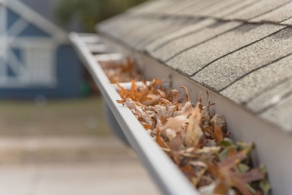 Leaf Barrier Installation in Hopkins
